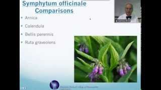 Symphytum officinale Homeopathic Medicine Tips For Beginners [upl. by Savage]