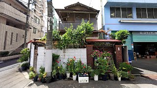 Tokyo Tuesday Vibes Asakusa to Nippori  JAPAN LIVE STREAMS 2023 [upl. by Norha465]