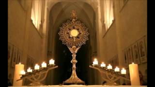 Questce que le Saint Sacrement  Réponse catholique [upl. by Ytram]