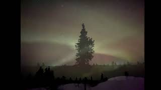 Fairbanks AK Northern Lights Feb 2024 [upl. by Luy]