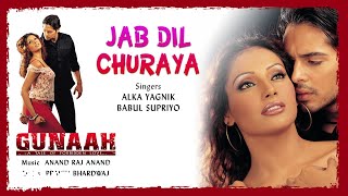 Jab Dil Churaya Best Audio Song  GunaahBipasha BasuDino MoreaAlka Yagnik [upl. by Acirej]