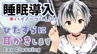 【Binauralダミーヘッドマイク】本気で眠りたい人のためのじっくり奥まで耳かき 202413【にじさんじ鈴木勝】 [upl. by Woodcock833]