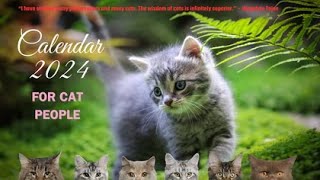 Cats Calendar 2024 13 pages [upl. by Augustina210]