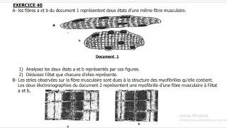 SUJET DE SVT BAC 2025 EXERCICE TYPE BAC SUR LES MUSCLES [upl. by Noiraa]