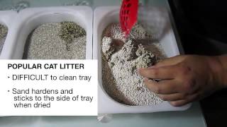 Compare the strength of clumping litter for cats  Canada Cat Litter [upl. by Olbap]