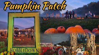 Pumpkin Patch 🎃 at Hobbledown Heath Hounslow London Halloween Kids [upl. by Yenhpad]