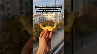 Ananas ödem atmaya yardımcı ananas ödem instagram beslenme sağlık food [upl. by Aseel]