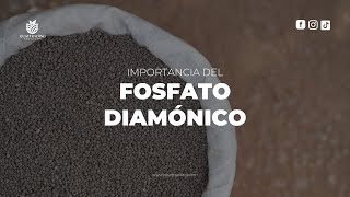 IMPORTANCIA DE EL FOSFATO DIAMÓNICO DAP EN LA AGRICULTURA  QUATTRADING SERVICES [upl. by Norrek]