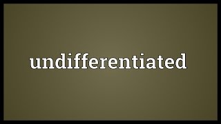 Undifferentiated Meaning [upl. by Conal]