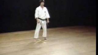 Shotokan Kata Jitte  Kanazawa Hirokazu [upl. by Nageem48]