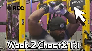 Week 2 Day 8 Shred Chest amp Triceps [upl. by Norrie233]