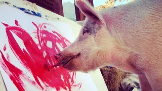 Pigcasso to DogVinci Animals Inspire With Their Art [upl. by Ravahs696]