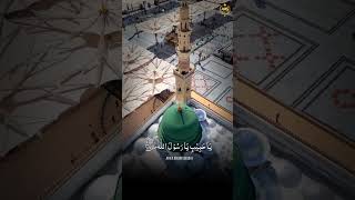 Ya Nabiﷺ Salam AlaikaJumma Mubarak StatusNaat Sharif StatusSayyed Abdul Wasi Qadri [upl. by Kehr]