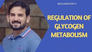 Regulation of Glycogen  Glycogen Regulation in liver amp Muscle Hormonal Regulation of Glycogen [upl. by Wellesley660]