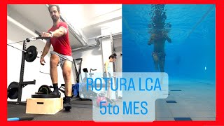 8 🔴 5to MES ⚠️ ¡¡Rehabilitación LIGAMENTO Cruzado Anterior y Meniscos 😭 LCA [upl. by Azelea445]