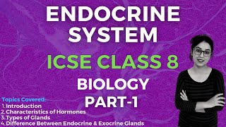 Endocrine System  ICSE CLASS 8 Biology  Part  1 [upl. by Stonwin]