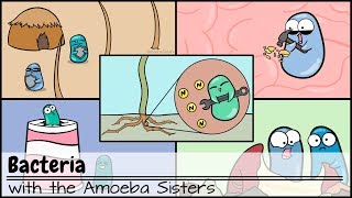 Bacteria Updated [upl. by Samoht663]