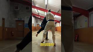 Karate training karate life motivation [upl. by Niatsirk719]