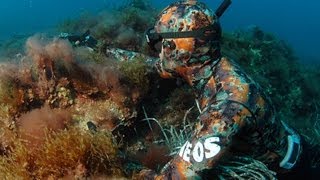 Pillole di Pesca in Apnea  quotIl Sarago Maggiore Tecniche di Pesca in Apnea Aspetto e Tanaquot [upl. by Oigimer]