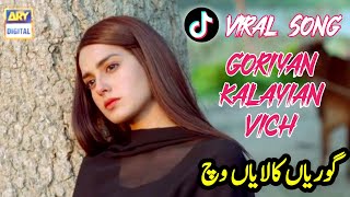 Goriyan Kalayian Vich  Ameer Niazi  Akhiyan Hin Talwaar  New TikTok Viral Song 2024 [upl. by Andrey154]