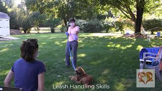 Leash Ease Learning to Walk Your Dog with a Loose Leash [upl. by Wash]