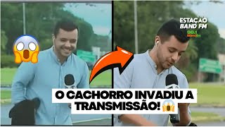 Cachorro invade transmissão ao vivo e surpreende repórter  Estação Band FM [upl. by Les159]