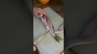 Fastest way to fillet a walleye and remove the ribs [upl. by Atrahc568]