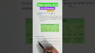 Polar Amino Acids  Examples aminoacids12 biochemistry gpat2025 pharmacyindia [upl. by Cleodal]