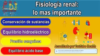 Fisiología de los riñones  Fisiología renal resumen [upl. by Thais]