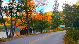 Gatineau Park in Fall canada quebec [upl. by Gustav349]