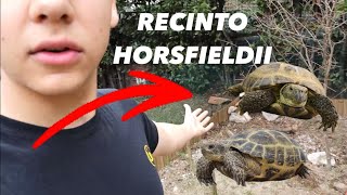 sistemo il RECINTO delle TESTUDO HORSFIELDII [upl. by Lanford]