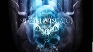 Ne Obliviscaris  Painters Of The Tempest Full [upl. by Shaia]