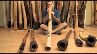 The Didgeridoo Store Didgeridoo Demo of six keys using Australian Eucalyptus Didgeridoos [upl. by Winograd]