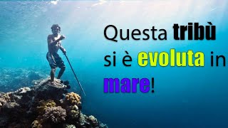 In questa tribù sono in grado di trattenere il respiro sottacqua per 13 MINUTI [upl. by Eissert]