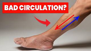 The ONLY 3 Exercises you NEED to Improve Leg Circulation [upl. by Judenberg]