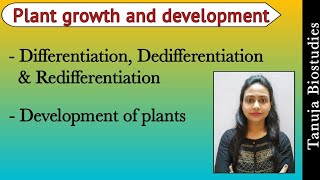 Differentiation Dedifferentiation and Dedifferentiation  Plant growth and development  NEETAIIMS [upl. by Sad]