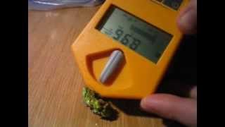 measuring radioactivity of mineral autunite with dosimeter [upl. by Tonye609]