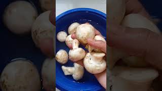 Mushrooms Health tipsmanthena speechytshortsviralshortsviraltrending [upl. by Estel]