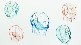 How to Easily Draw Heads  Understanding the Loomis Method [upl. by Emiolhs]