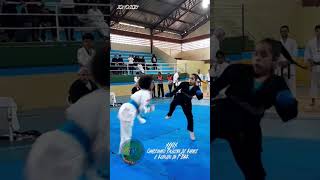 39° Campeonato Paulista de Karate e Kobudo da FBKK karatedo Karate [upl. by Ecirtam]