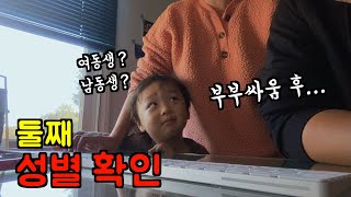 미국 일상 🇺🇸 부부 싸움 하고 둘째 성별 공개 🔥👶 과연 딸 or 아들 l 진미채 김밥 황태두부국 바나나쥬스 l 미국 브이로그 [upl. by Enomrej82]