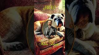 🐕 ¿ FUE EL 🐕STEFAN ZWEIG [upl. by Joktan]