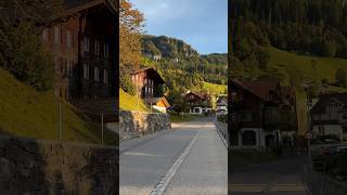 Switzerland village Beatenberg nature swissbeauty switzerland mountains beautiful alps [upl. by Fransen792]