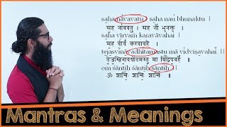 sahanavavatu Common Errorsamp Complete Meaning [upl. by Kanor]