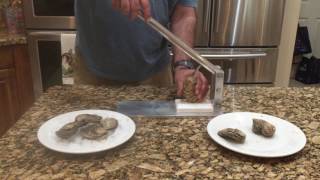 Shucking Oysters with Easy to Use Oyster Shucker [upl. by Ariahs]