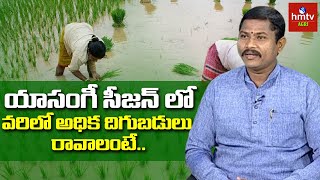 Rabi Season Paddy Farming యాసంగీ రబీ సీజన్ లో వరిలో అధిదిగుబడులు రావాలంటే hmtv Agri [upl. by Irakab573]