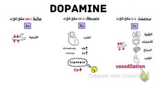 Dopamine mechanism of action  vasopressors  inotropes  دوبامين  دواعم [upl. by Nylyoj]