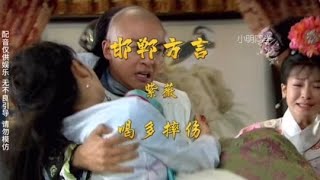 紫薇这个淘人的孩子又找事了，哈哈新还珠格格搞笑配音 [upl. by Aicirtap]