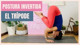 YOGA PARA PRINCIPIANTES  Posturas INVERTIDAS  EL TRÍPODE [upl. by Sidnac]