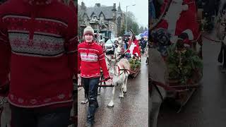 Santa Claus on his sleigh pulled by Reindeer sets off from Birnam for 2023 Dunkeld Santa Day shorts [upl. by Alaric]